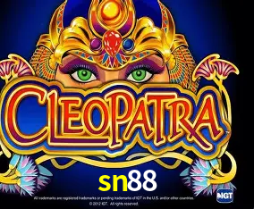 sn88 Curitiba - Live Status